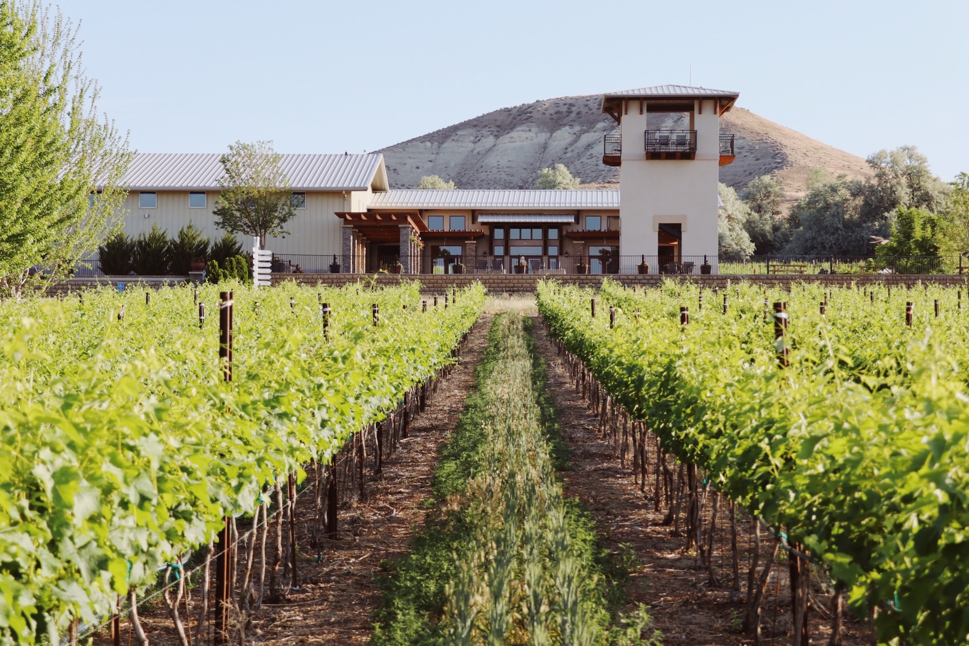 The new Tasting Room that opened in Fall of 2016